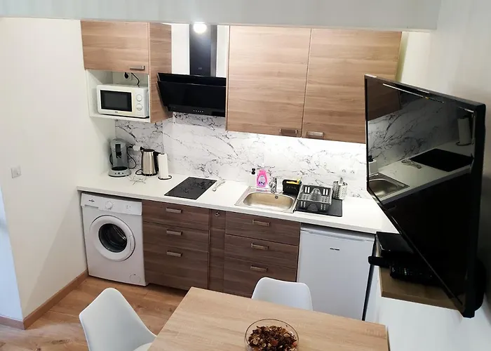 Cosy Entier, Parking Gratuit Dans La Rue * Дижон