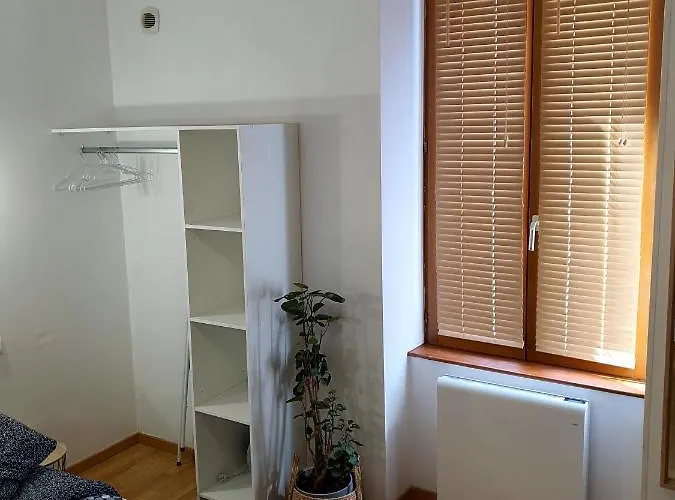 Cosy Entier, Parking Gratuit Dans La Rue * ディジョン