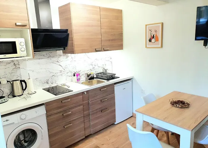 Cosy Entier, Parking Gratuit Dans La Rue ディジョン