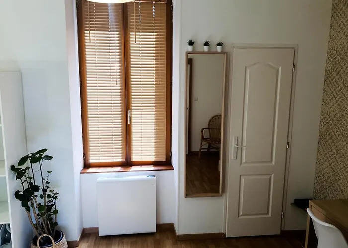 Cosy Entier, Parking Gratuit Dans La Rue Dijon